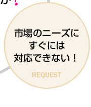 市場のニーズにすぐには対応できない！